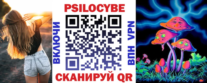 как найти Покров Галлюциногенные грибы GOLDEN TEACHER